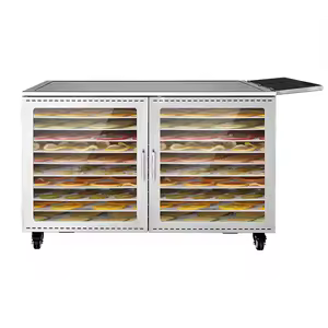 Solar Dehydrator Machine